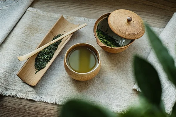 コーラルサンセット牡丹の育て方完全ガイド – 初心者でも失敗しない栽培コツ