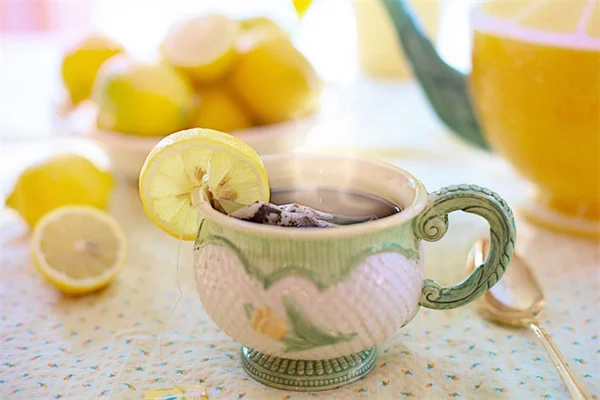 枝先が茶色いのはセミのせい？5分でわかる原因と見分け方
