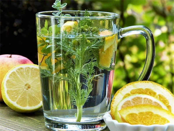 枝先が茶色いのはセミのせい？5分でわかる原因と見分け方